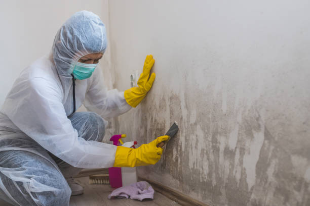Best Residential Mold Removal  in Baxter Springs, KS
