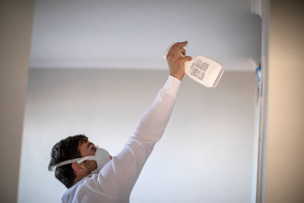 Best Home Mold Removal  in Baxter Springs, KS