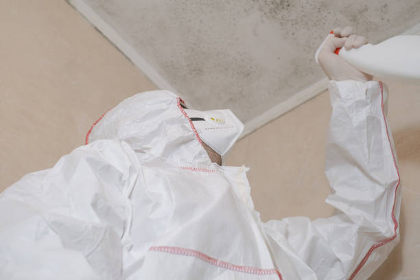 Best Office Mold Removal Services  in Baxter Springs, KS