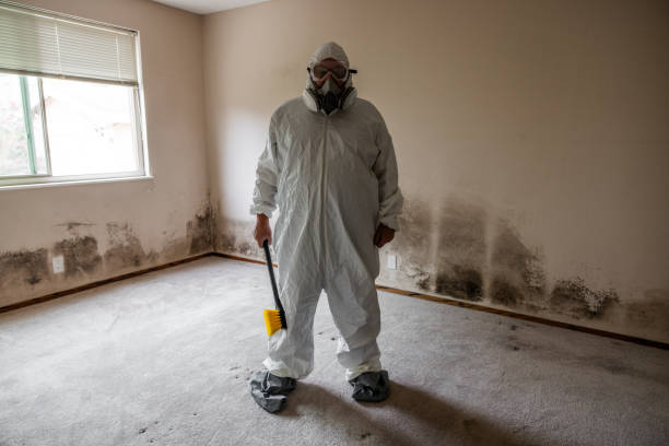 Best Mold Testing  in Baxter Springs, KS