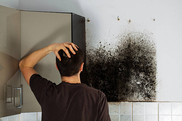 Best Crawl Space Mold Removal  in Baxter Springs, KS